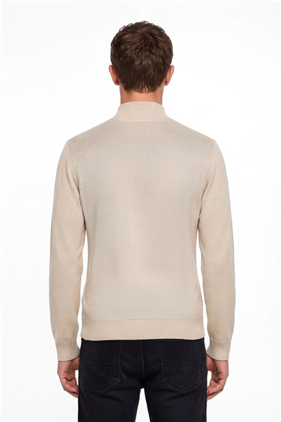 Erkek Bej Normal Kesim Regular Fit Yünlü Dokuma Desenli Triko Kazak