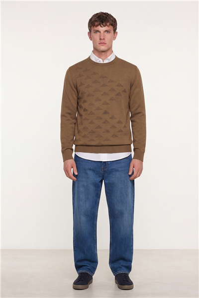 Erkek Camel Normal Kesim Regular Fit Yünlü Bisiklet Yaka Triko Kazak 