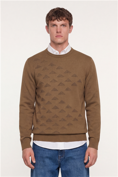 Erkek Camel Normal Kesim Regular Fit Yünlü Bisiklet Yaka Triko Kazak 