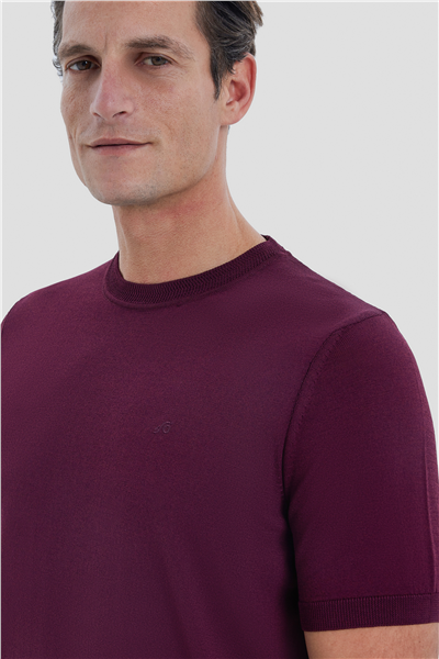Erkek Bordo Dar Kesim Slim Fit Viskon Triko Bisiklet Yaka Tişört
