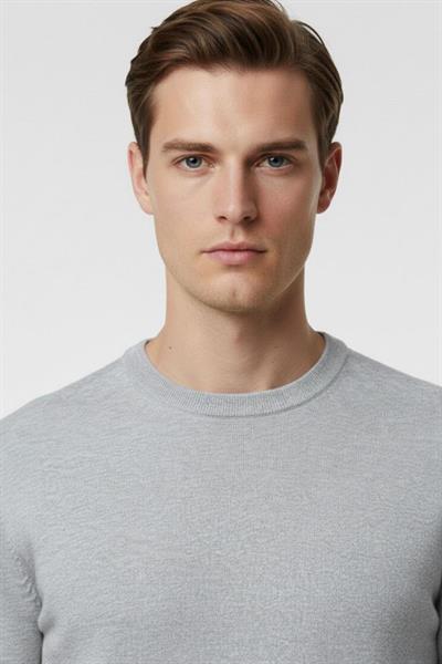 Erkek Gri Normal Kesim Regular Fit Pamuklu Dokuma Bisiklet Yaka Triko Kazak