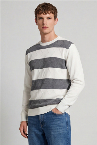 Erkek Kemik Normal Kesim Regular Fit Yünlü Bisiklet Yaka Minimal Triko Kazak