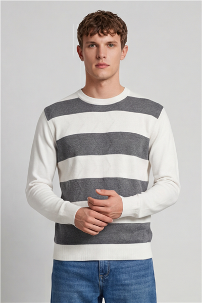 Erkek Kemik Normal Kesim Regular Fit Yünlü Bisiklet Yaka Minimal Triko Kazak