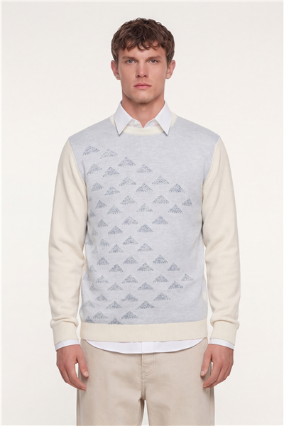 Erkek Kemik Normal Kesim Regular Fit Yünlü Bisiklet Yaka Triko Kazak 