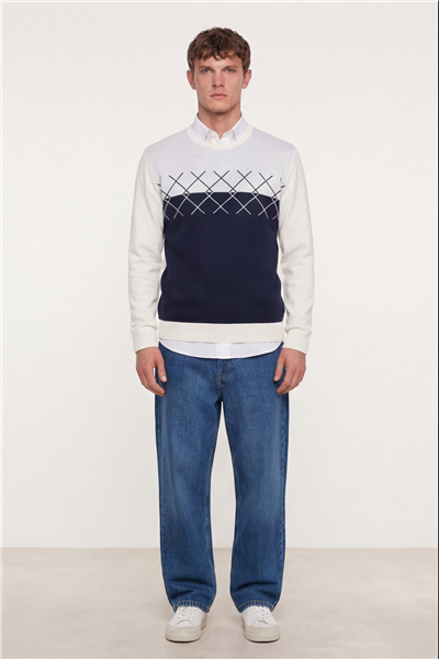 Erkek Kemik-Siyah Normal Kesim Regular Fit Yünlü Dokuma Desenli Triko Kazak