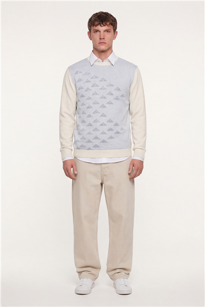 Erkek Kemik Normal Kesim Regular Fit Yünlü Bisiklet Yaka Triko Kazak 