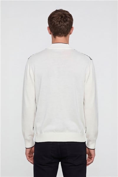 Erkek Kemik Normal Kesim Regular Fit Yünlü Dokuma Desenli Triko Kazak