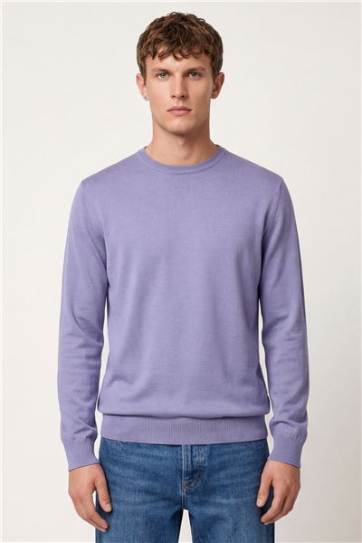 Erkek Lila Normal Kesim Regular Fit Yünlü Düz Triko Kazak