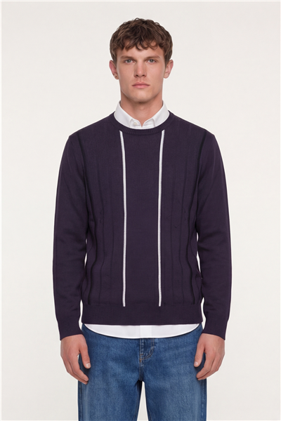 Erkek Mor Normal Kesim Regular Fit Yünlü Dokuma Çizgi Desen Bisiklet Yaka Triko Kazak 