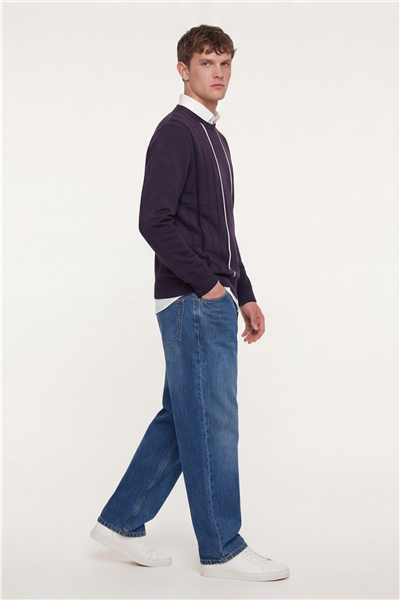 Erkek Mor Normal Kesim Regular Fit Yünlü Dokuma Çizgi Desen Bisiklet Yaka Triko Kazak 