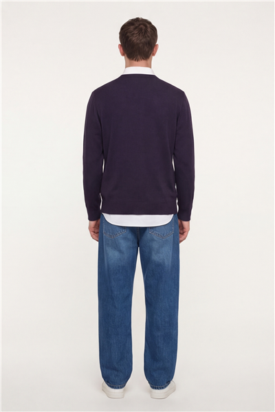 Erkek Mor Normal Kesim Regular Fit Yünlü Dokuma Çizgi Desen Bisiklet Yaka Triko Kazak 