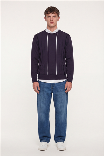 Erkek Mor Normal Kesim Regular Fit Yünlü Dokuma Çizgi Desen Bisiklet Yaka Triko Kazak 