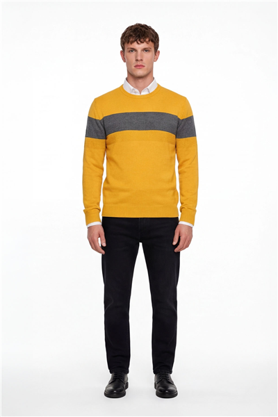 Erkek Sarı Normal Kesim Regular Fit Yünlü Dokuma Çizgi Detay Bisiklet Yaka Triko Kazak