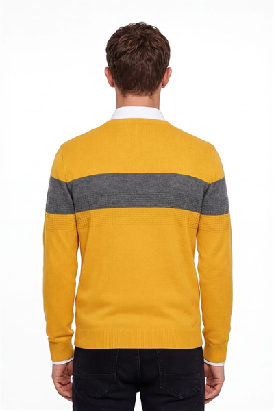 Erkek Sarı Normal Kesim Regular Fit Yünlü Dokuma Çizgi Detay Bisiklet Yaka Triko Kazak