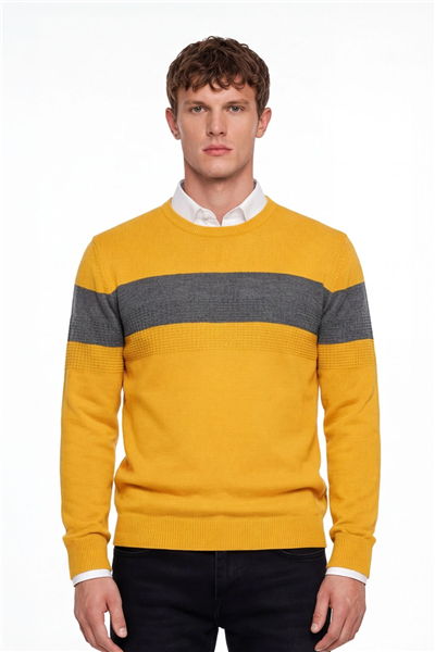 Erkek Sarı Normal Kesim Regular Fit Yünlü Dokuma Çizgi Detay Bisiklet Yaka Triko Kazak