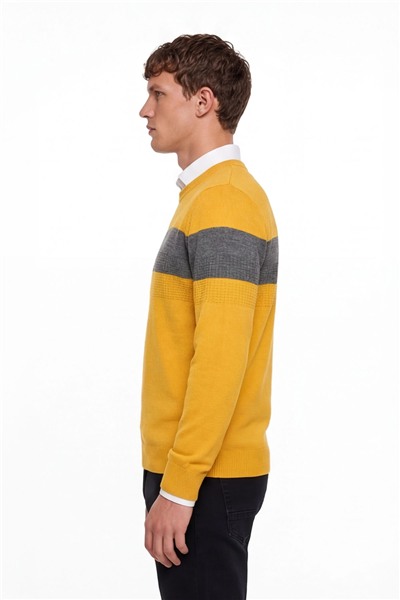 Erkek Sarı Normal Kesim Regular Fit Yünlü Dokuma Çizgi Detay Bisiklet Yaka Triko Kazak