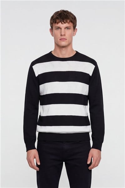 Erkek Siyah Normal Kesim Regular Fit Yünlü Bisiklet Yaka Minimal Triko Kazak