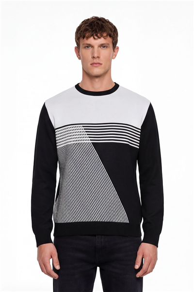 Erkek Siyah Normal Kesim Regular Fit Yünlü Desenli Bisiklet Yaka Triko Kazak