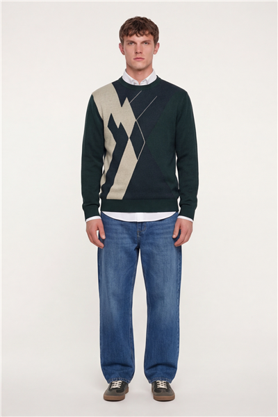 Erkek Yeşil Normal Kesim Regular Fit Yünlü Dokuma Desenli Triko Kazak