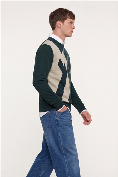 Erkek Yeşil Normal Kesim Regular Fit Yünlü Dokuma Desenli Triko Kazak