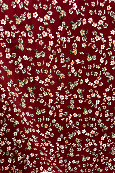 Nergiz Bordo Elbise