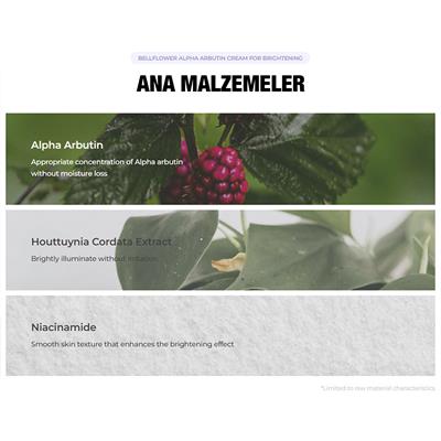 Arbutin, Niacinamide, Houttuynia Cordata İçeren Leke Karşıtı, Yatıştırıcı, Nemlendirici, Aydınlatıcı Krem 30ml