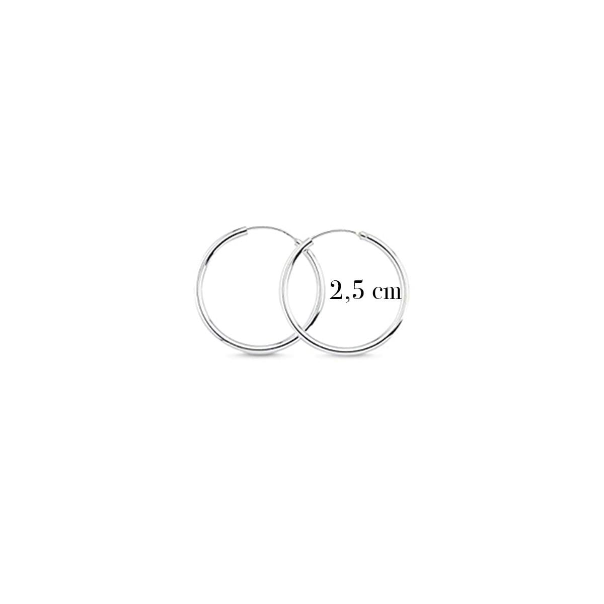 2,5 cm Gümüş Halka Küpe