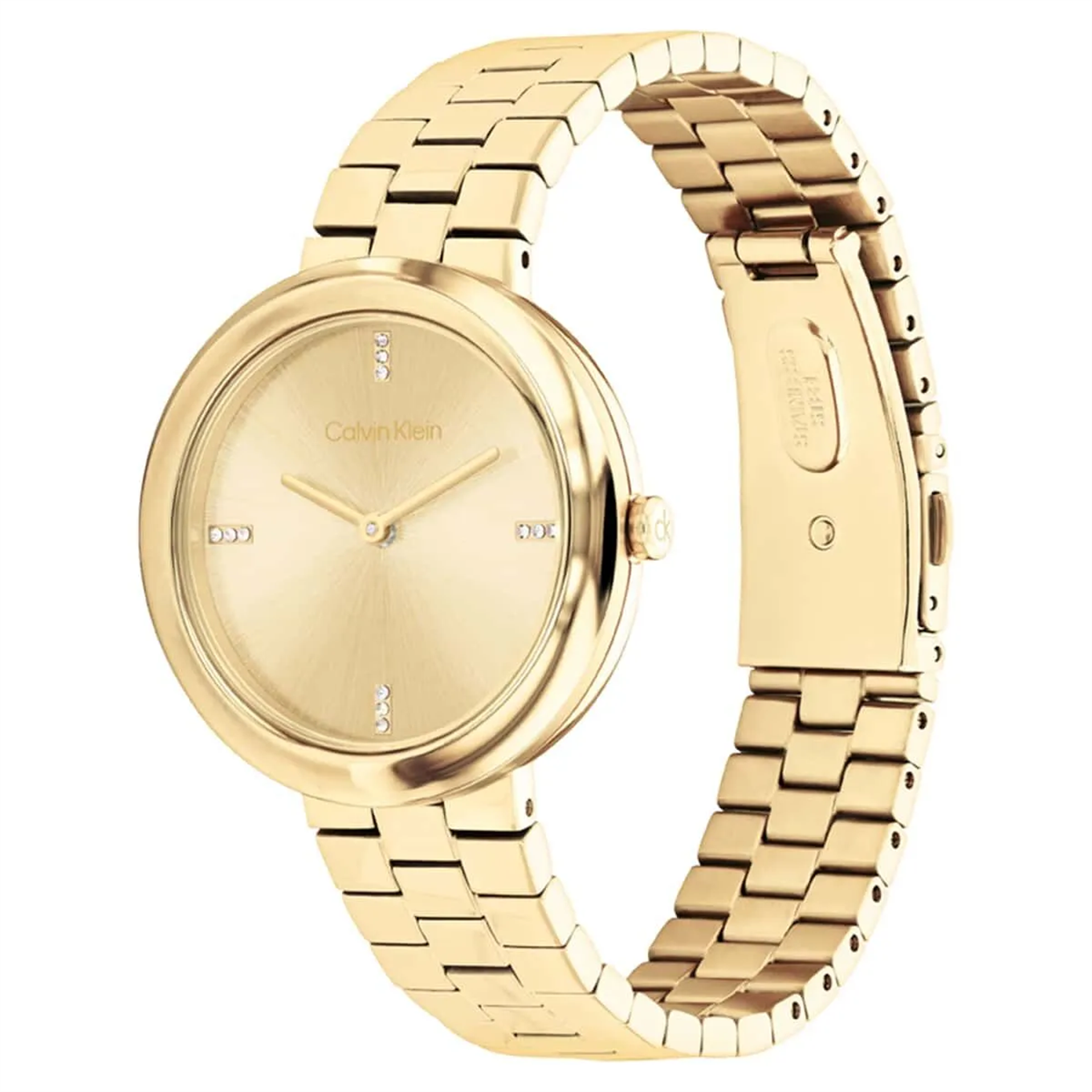 Calvin Klein CK25100094 Kadın Kol Saati