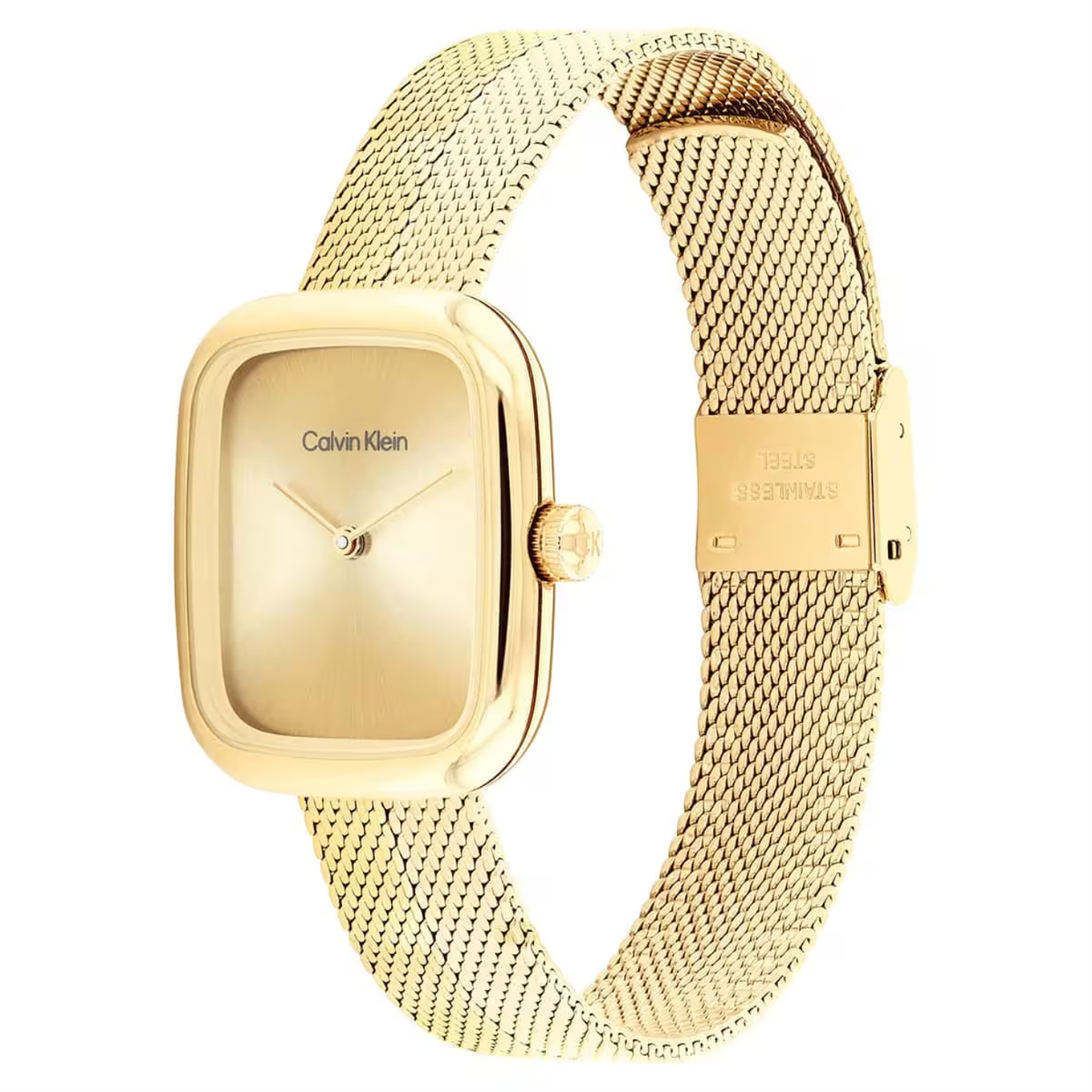 Calvin Klein CK25100099 Kadın Kol Saati