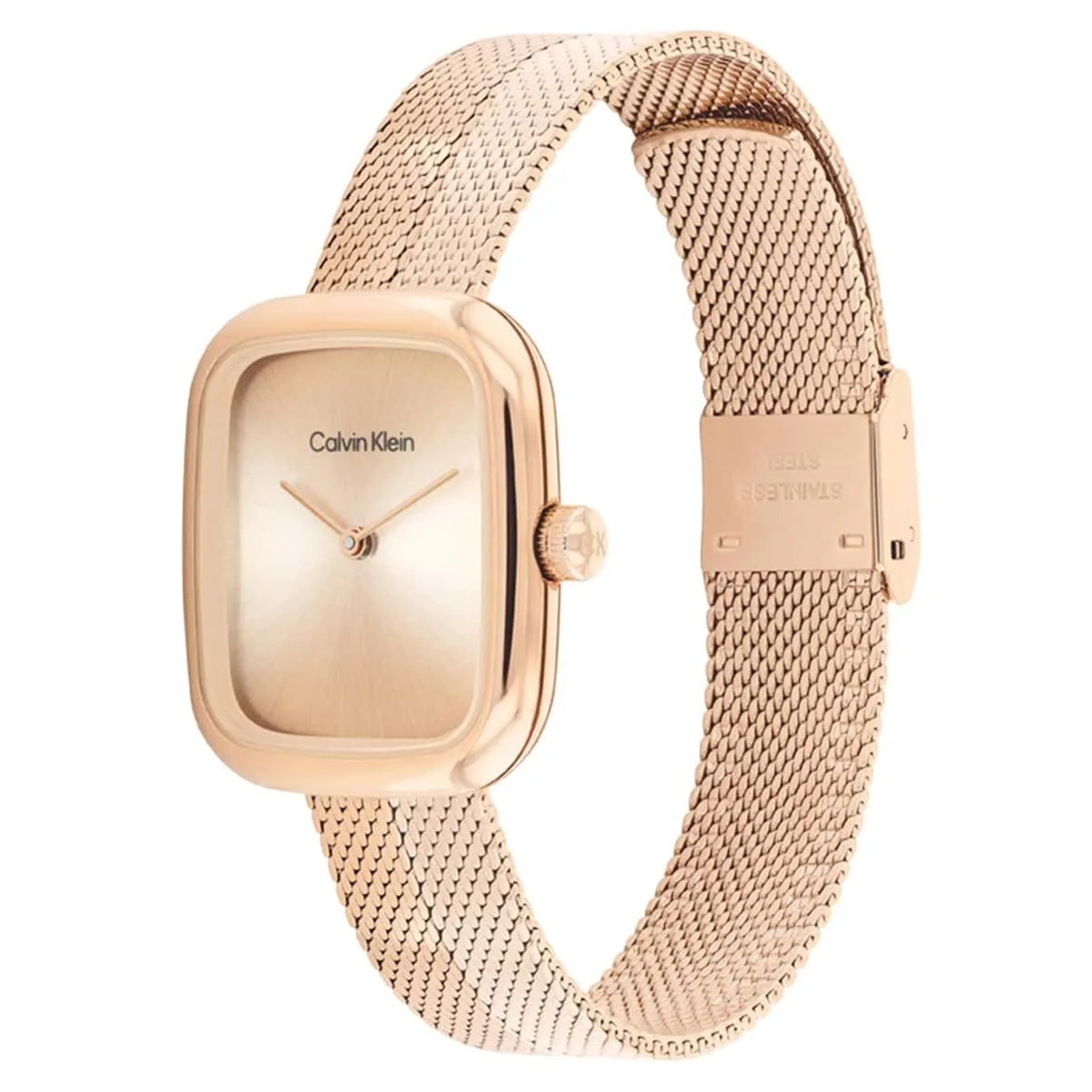 Calvin Klein CK25100101 Kadın Kol Saati