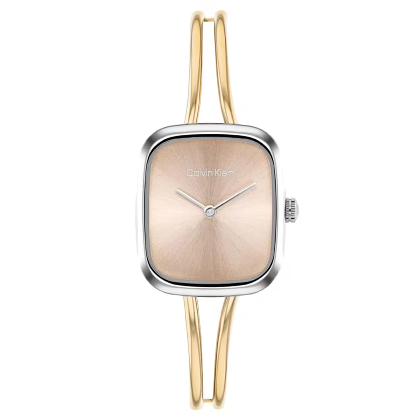 Calvin Klein CK25100134 Kadın Kol Saati