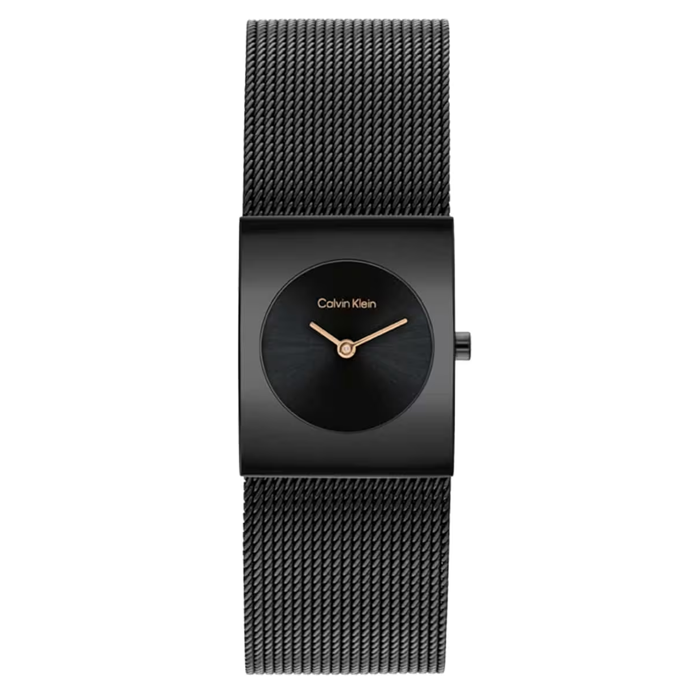 Calvin Klein CK25100138 Kadın Kol Saati