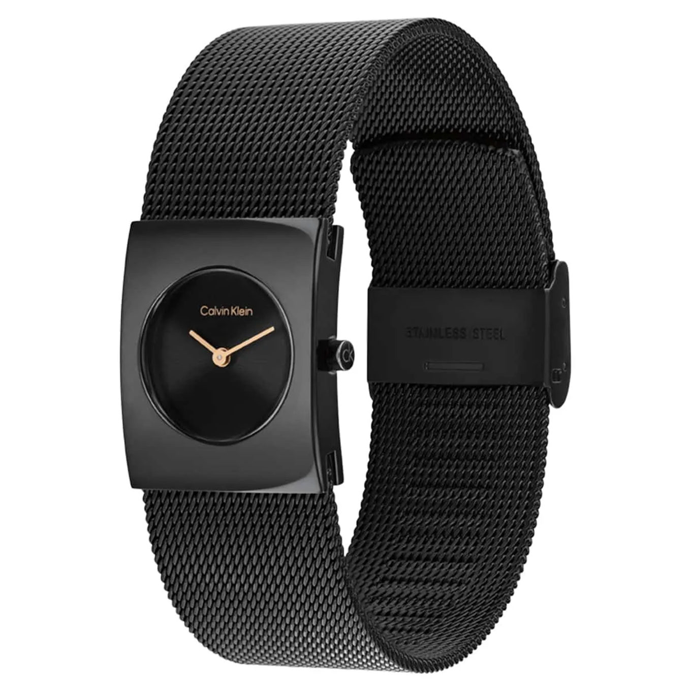 Calvin Klein CK25100138 Kadın Kol Saati