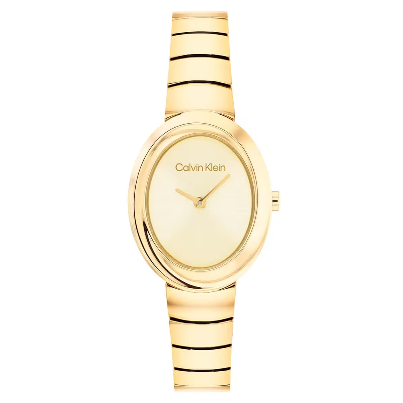Calvin Klein CK25100147 Kadın Kol Saati