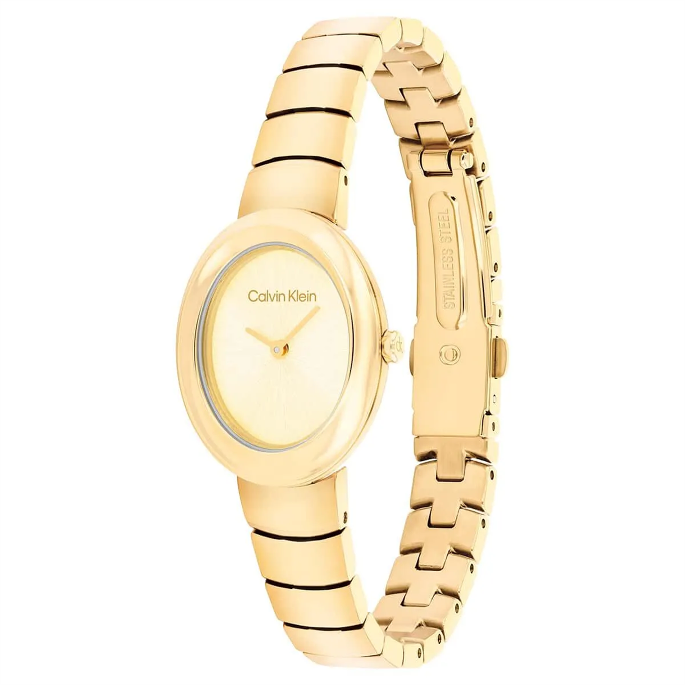 Calvin Klein CK25100147 Kadın Kol Saati
