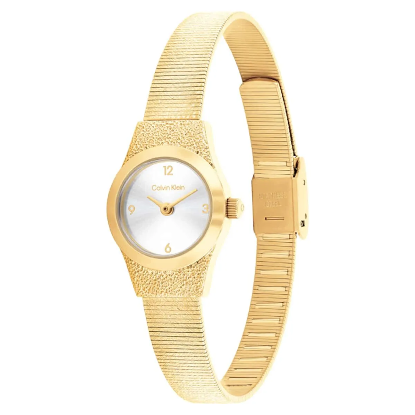 Calvin Klein CK25100193 Kadın Kol Saati
