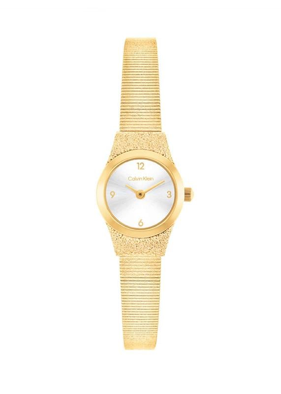Calvin Klein CK25100193 Kadın Kol Saati