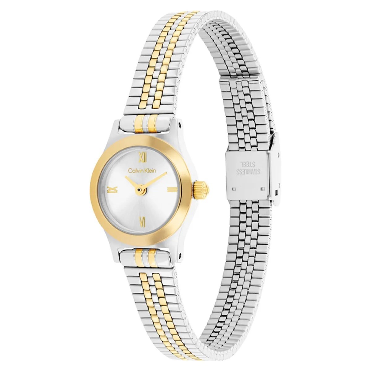 Calvin Klein CK25100207 Kadın Kol Saati