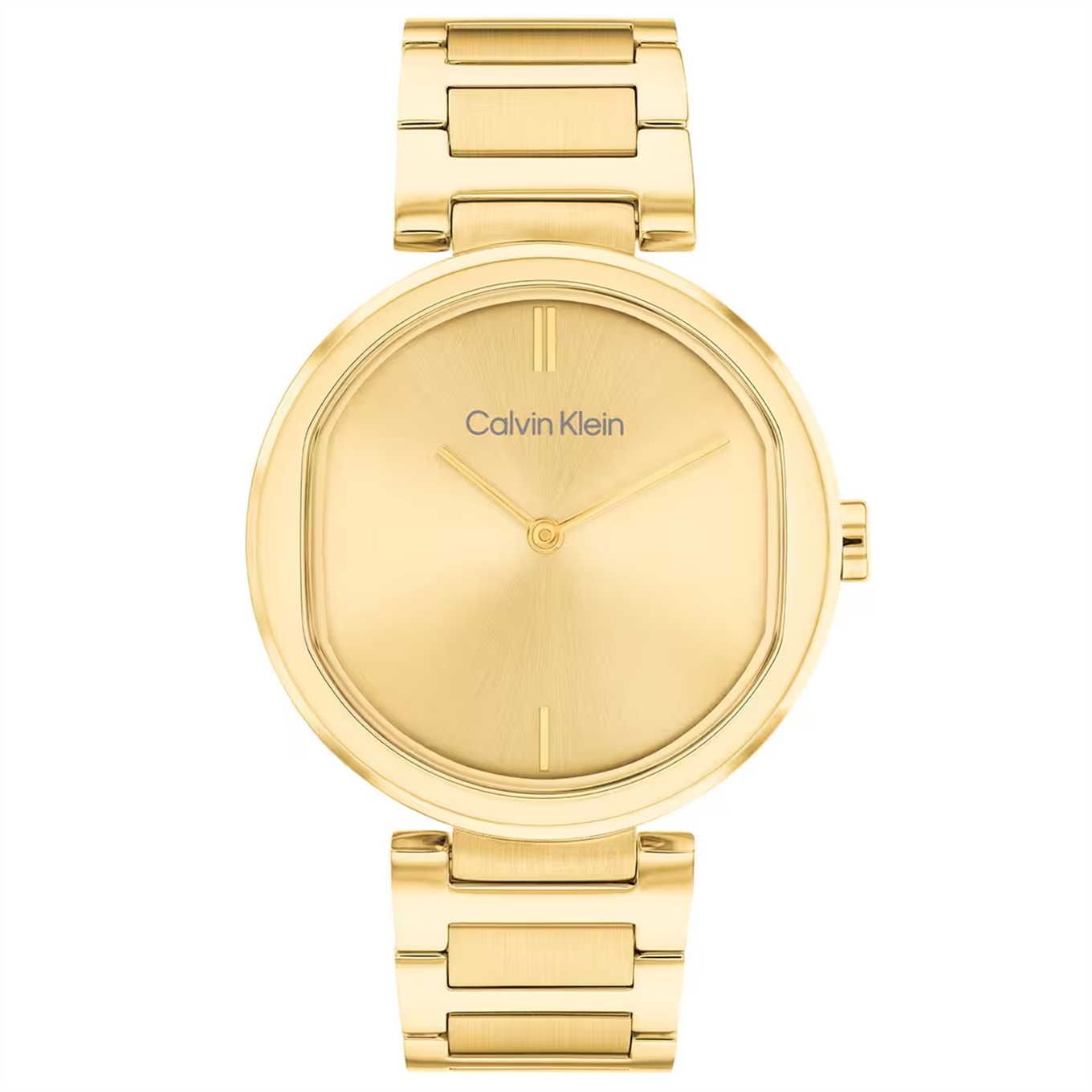 Calvin Klein CK25200252 Kadın Kol Saati