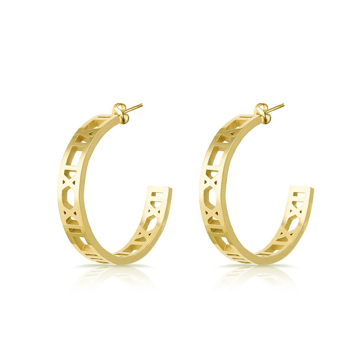 Freelook FRJ.3.5005.2 Kadın Çelik Küpe