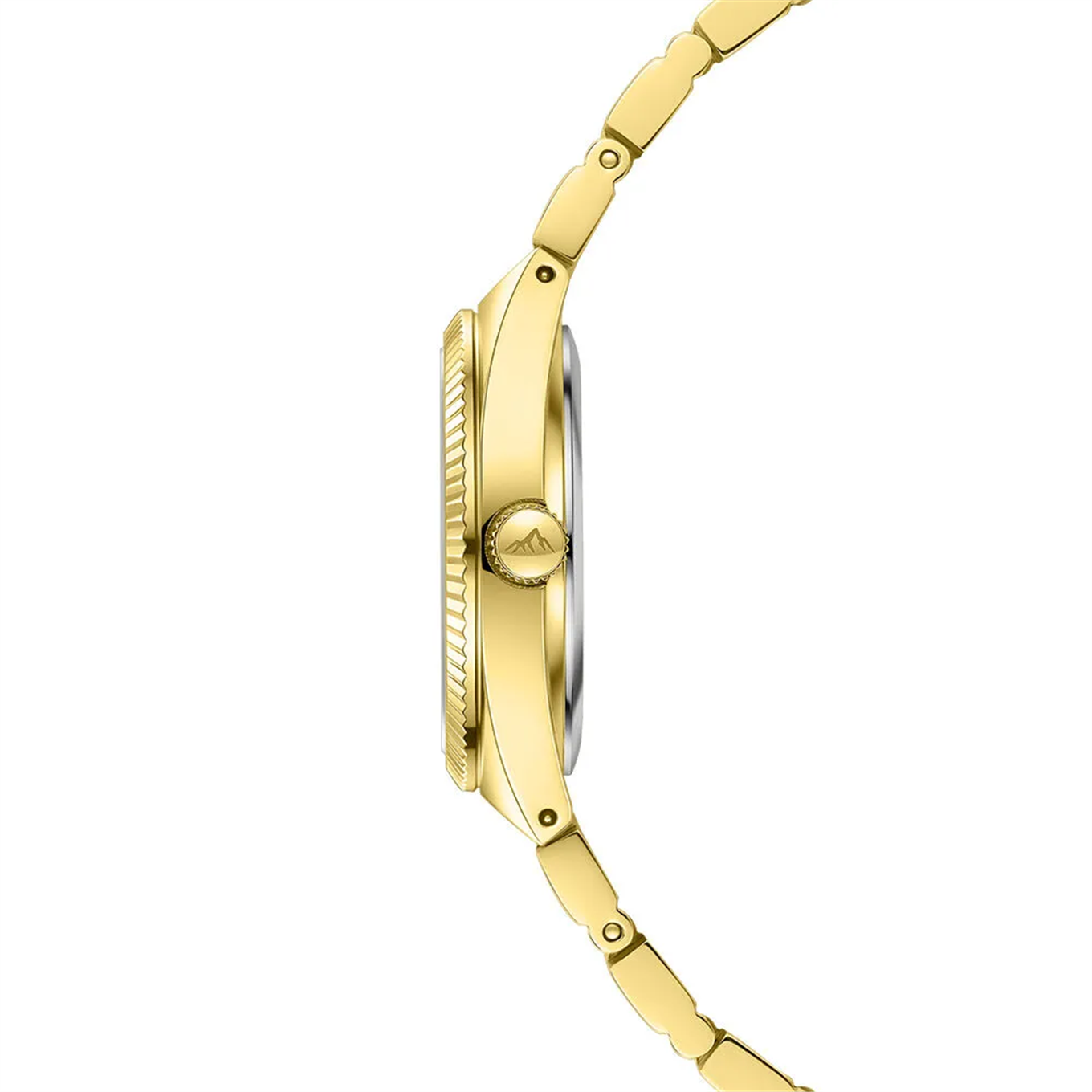 Roche Montre RML5001-06 Kadın Kol Saati