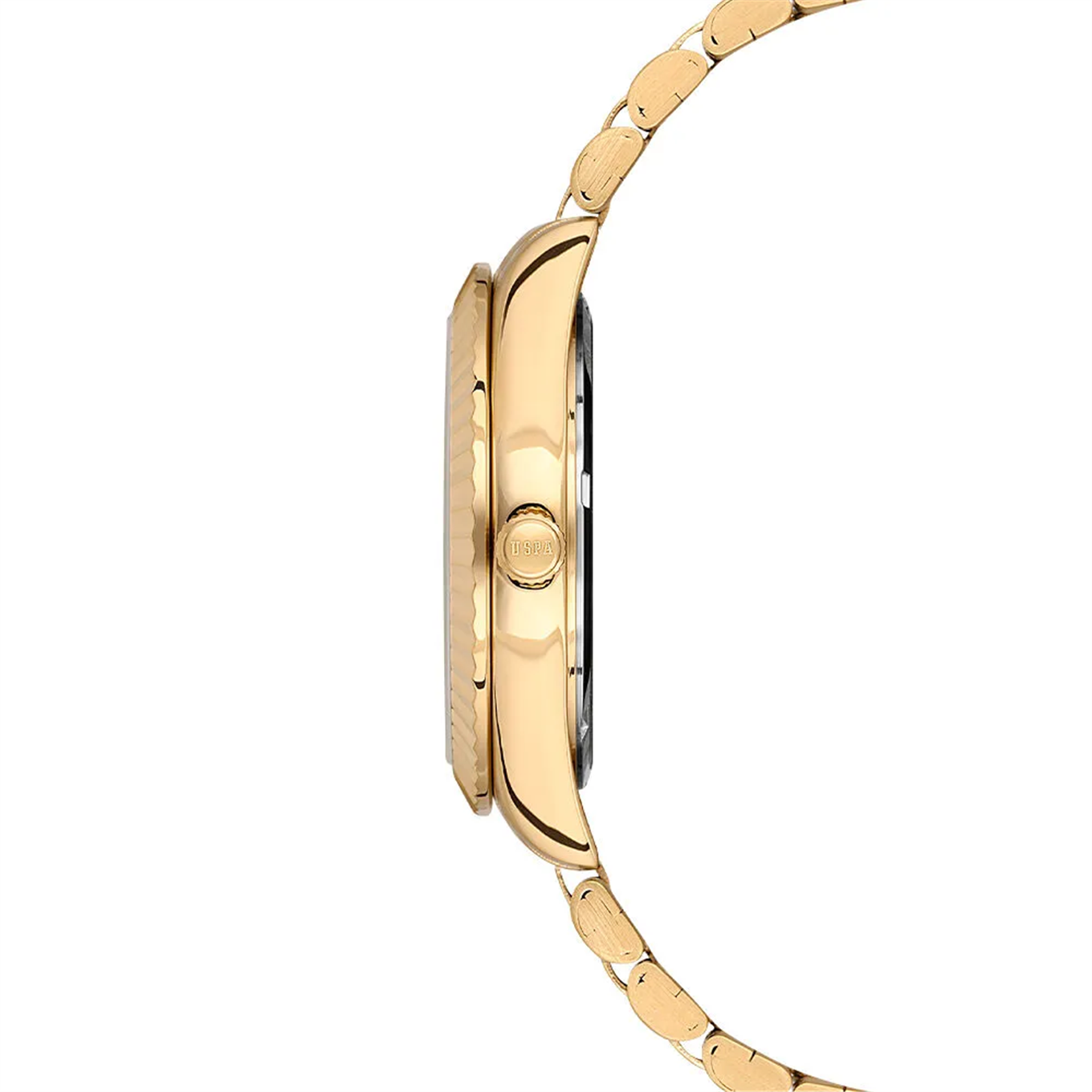 U.S. Polo Assn. USPA2093-06 Erkek Kol Saati