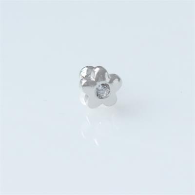 Çiçek Gümüş Tragus