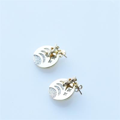 Kutup Yıldızı Zirkon Taşlı Gold Kaplama Gümüş Küpe