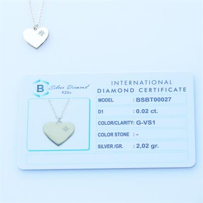 Pırlanta Taşlı 0.02 ct  Kalp Modeli Gold Micron Kaplama Gümüş Kolye