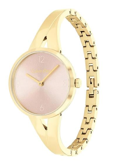 Calvin Klein CK25100027 Kadın Kol Saati