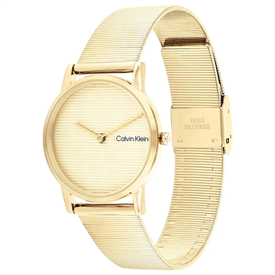 Calvin Klein CK25100035 Kadın Kol Saati