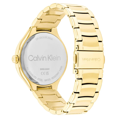 Calvin Klein CK25100048 Kadın Kol Saati