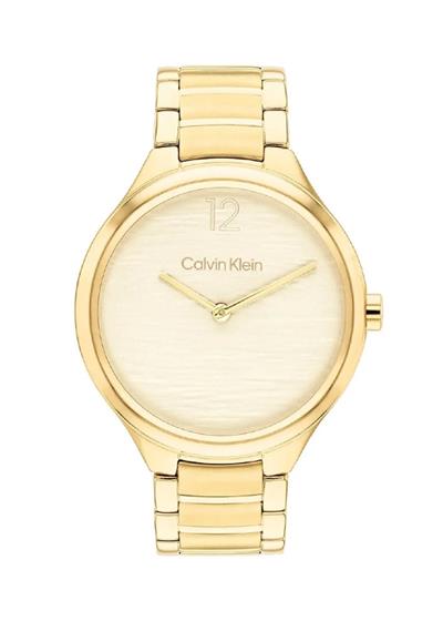 Calvin Klein CK25100048 Kadın Kol Saati