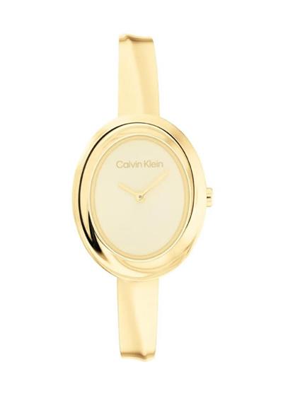 Calvin Klein CK25100056 Kadın Kol Saati